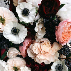 Meet your Posher, Clarice